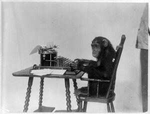 Chimpanzee typing